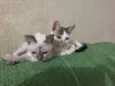 irmãs