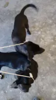 Não tem
