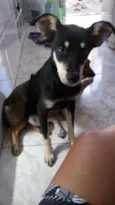 Bolinha
