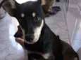 Bolinha