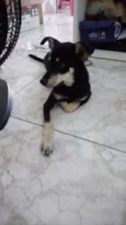 Bolinha