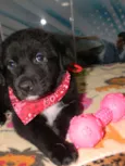 Kira bb