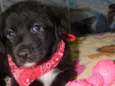 Kira bb
