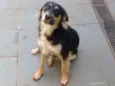 Fumaça