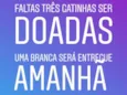 Gatos rajados 