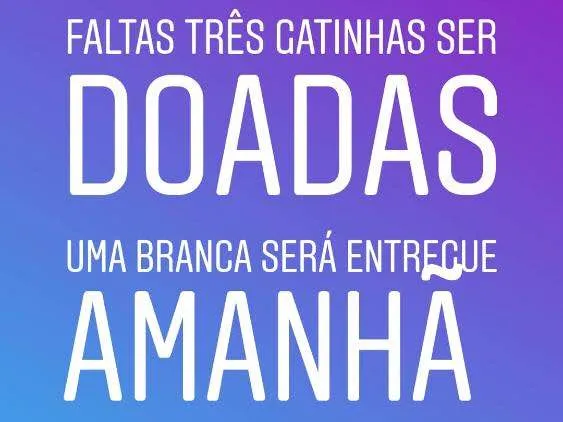 Gato raça Não sei idade Abaixo de 2 meses nome Gatos rajados 