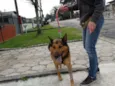 Bruce