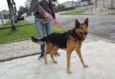 Bruce