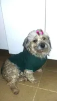Belinha