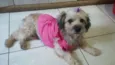Belinha
