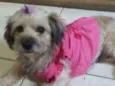 Belinha