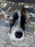 Lua