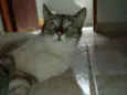 Mel