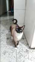 Jack