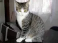 Mel