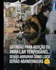 Pitoca