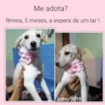 menina