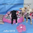 varios