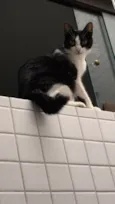 Bisky