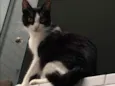 Bisky