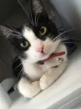Bisky