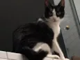 Bisky