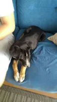 Bruno