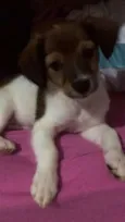 Ayla