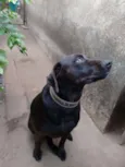 Nic