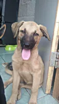 Axel