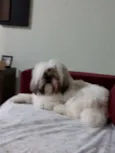 Nina