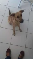 Princesa