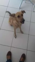 Princesa