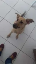Princesa