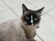 Fred