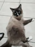 Fred