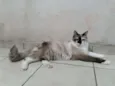 Nina