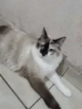 Nina