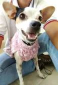 Belinha 2