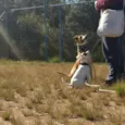 Lala
