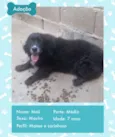 MALI