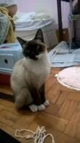 Dori