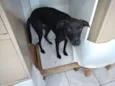 FREDINHO