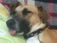 Lala