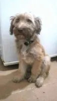 Nick