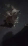 Não tem nomes 