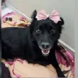 FLORISBELA