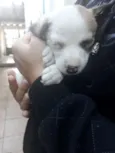 Billy