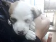 Billy