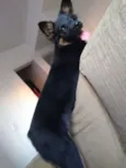 Sol